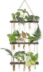 Mkono Plant Propagation Tubes, 3 Tiered Wall Hanging Terrarium with Wooden Stand... - Image 2