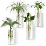 Mkono Propagation Station Wall Planter Hanging Glass Tubes Flower Vase for Hydro... - Image 2