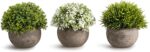 Opps Artificial Plastic Mini Plants Unique Fake Fresh Green Grass Flower in Gray... - Image 2