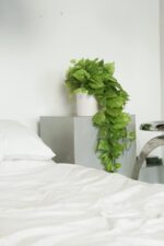 Retrograde 32" Realistic Fake Pothos Ivy Plant for Home Decor Indoor Silk Artifi... - Image 2