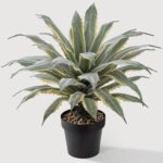 SUNPRAIRIE 32 Inch Tall Large Faux Agave Plant with Two-Tone Sawtooth Edged Leav... - Image 2