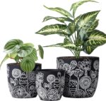 Terracotta Pots, 6.5+5+4.4 Inch Plant Pots with Drainage Hole- Floral Pattern, B... - Image 2