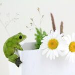 Top Collection Miniature Fairy Garden and Terrarium Frog Flower Pot and Vase Hug... - Image 2