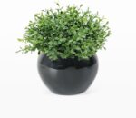 Velener Fake Sage Plants for Shelf Decor, Small Artificial Succulents Grass Desk... - Image 2