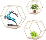 Wall Mounted Hexagon Floating Shelves, Metal Framed Gold Shelf with Wooden Floor... - Image 2