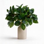 12 Inch Artificial Plant Indoor,Small Fake Plants Eucalyptus Stems With Vase,Fau... - Image 2