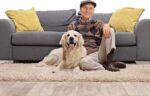 Elegant Comfort Luxury Softest, Shaggy Collection Modern Indoor Area Rugs, Fluff... - Image 6