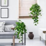 Artificial Hanging Plants with White Pots –2 Pack Fake Pothos Potted Plants Faux... - Image 5
