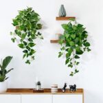 Artificial Hanging Plants with White Pots –2 Pack Fake Pothos Potted Plants Faux... - Image 6