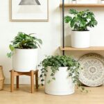 Large Plant Pots Set of 3 – 8", 9", 10" Indoor Flower Pots with Drainage Holes a... - Image 3