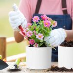 Large Plant Pots Set of 3 – 8", 9", 10" Indoor Flower Pots with Drainage Holes a... - Image 6