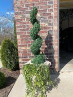 ALL SEASON GREEN 36" Topiary Trees Artificial Outdoor Boxwood Plants Set of 2 fo... - Image 8