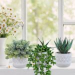 Winlyn Set of 3 Mini Faux Succulent Potted Plants Artificial Aloe Hops String of... - Image 9