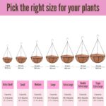LaLaGreen Hanging Planters with Coco Liners (12 Inch, 3 Pack) Hanging Baskets fo... - Image 4