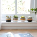 Mkono 3 Inch Mini Succulent Pots Concrete Planter Set, Modern Tiny Container for... - Image 3