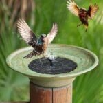 HOUYANG Solar Fountain Bird Bath, Metal Bird Bath Bubbler, Outdoor Bird Bath Bow... - Image 4