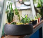 Olly & Rose Copenhagen Large Ceramic Planter Bowl Shallow Plant Pot - Matt Black... - Image 3