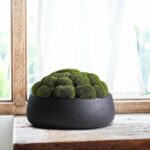 Olly & Rose Copenhagen Large Ceramic Planter Bowl Shallow Plant Pot - Matt Black... - Image 4