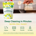 Good Natured Brand | Carpet Deodorizer & Freshener Powder | 31 oz Pet Odor Elimi... - Image 4