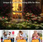 Solar Garden Lights 2 Pack Twinkling Solar Firework Lights with 2 Modes 120LED, ... - Image 5
