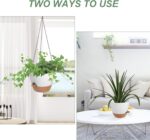 Vanslogreen Hanging Planters for Indoor Outdoor Plants, 2 Pack Self Watering Han... - Image 5