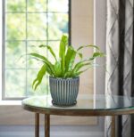 Oairse Ceramic Pots for Indoor Plants, 4.9 +5.7 inch Pots for Plants Set of 2 Ma... - Image 5