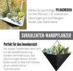 LaLaGreen Wall Planters for Indoor Plants - 2 Pack, 12 Inch Large Self Watering ... - Image 5