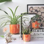 Gepege Ceramic Indoor Pots for Plants, Rainbow Pearl Glaze Planter with Drainage... - Image 6
