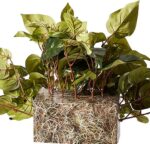 Nearly Natural 15in. Pothos Ledge Plant (Set on Foam) Silk Plant,Green - Image 4