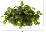 Nearly Natural 15in. Pothos Ledge Plant (Set on Foam) Silk Plant,Green - Image 6