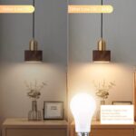 A19 LED Light Bulbs with Remote Control, 800LM 9W, 60W Equivalent LED Bulbs,Step... - Image 7