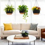 UOUZ Set of 3-10 Inch Self Watering Hanging Planters for Indoor Outdoor，Hanging ... - Image 4