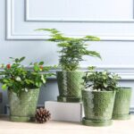 BUYMAX Plant Pots Indoor –5 inch Ceramic Flower Pot with Drainage Hole and Ceram... - Image 5