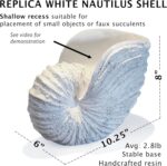 Nautilus Shell Sculpture - Replica Beach Themed Ocean Decor for Home - Rustic Wh... - Image 4