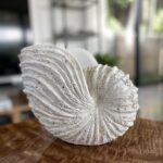 Nautilus Shell Sculpture - Replica Beach Themed Ocean Decor for Home - Rustic Wh... - Image 7