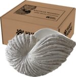 Nautilus Shell Sculpture - Replica Beach Themed Ocean Decor for Home - Rustic Wh... - Image 10