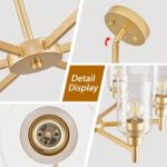 Modern Gold Chandeliers for Dining Room, 6-Light Chandelier Light Fixture with C... - Image 5
