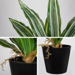 DILATATA Artificial Dracaena Plant in Black Pot 13.8 Inch Faux Potted Dracaena S... - Image 4