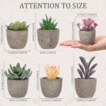 Set of 6 Artificial Succulents Potted - Realistic Mini Fake Cactus Plants in Pap... - Image 3