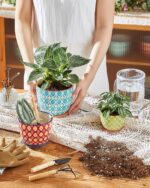 Metahom Ceramic Plant Pots, 3.8+4.9+5.8 Inch, Set of 3 Flower Pots with Drainage... - Image 4