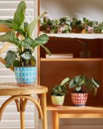 Metahom Ceramic Plant Pots, 3.8+4.9+5.8 Inch, Set of 3 Flower Pots with Drainage... - Image 6