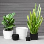 Root & Vessel Majestic Mid-Century Modern Low Profile Cylinder Pot, Matte Black,... - Image 3