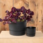 Root & Vessel Majestic Mid-Century Modern Low Profile Cylinder Pot, Matte Black,... - Image 4