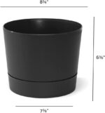 Root & Vessel Majestic Mid-Century Modern Low Profile Cylinder Pot, Matte Black,... - Image 5