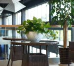 Foraineam 10.2 Inch Dual-pots Design Hanging Planters, Self-Watering Indoor Outd... - Image 7