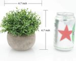 Velener Mini Sage Green Potted Boxwood Topiary Artificial Plants for Home Decor ... - Image 3