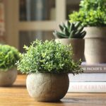 Velener Mini Sage Green Potted Boxwood Topiary Artificial Plants for Home Decor ... - Image 5