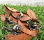 DAMULINS 4Pcs Small Brass Snail Statue Decor,Mini Retro Copper Animal Metal Scul... - Image 4