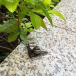 DAMULINS 4Pcs Small Brass Snail Statue Decor,Mini Retro Copper Animal Metal Scul... - Image 6