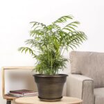 Plant Planters Pots Set of 4 Pack 10 Inch, Plastic Flower Pot For Indoor Plants ... - Image 3